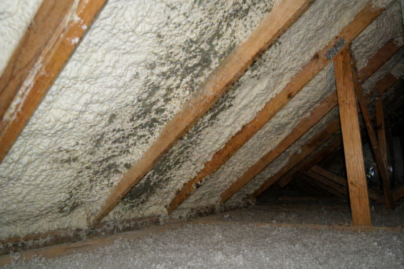 Can Mold Grow on Spray Foam Insulation