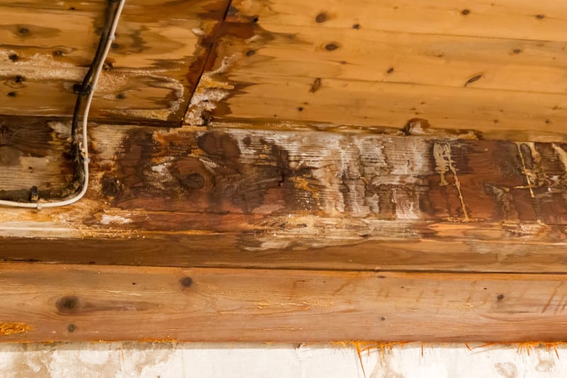 Can spray foam rot your roof?