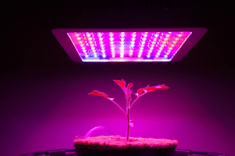 LED Grow Lights For Indoor Plants
